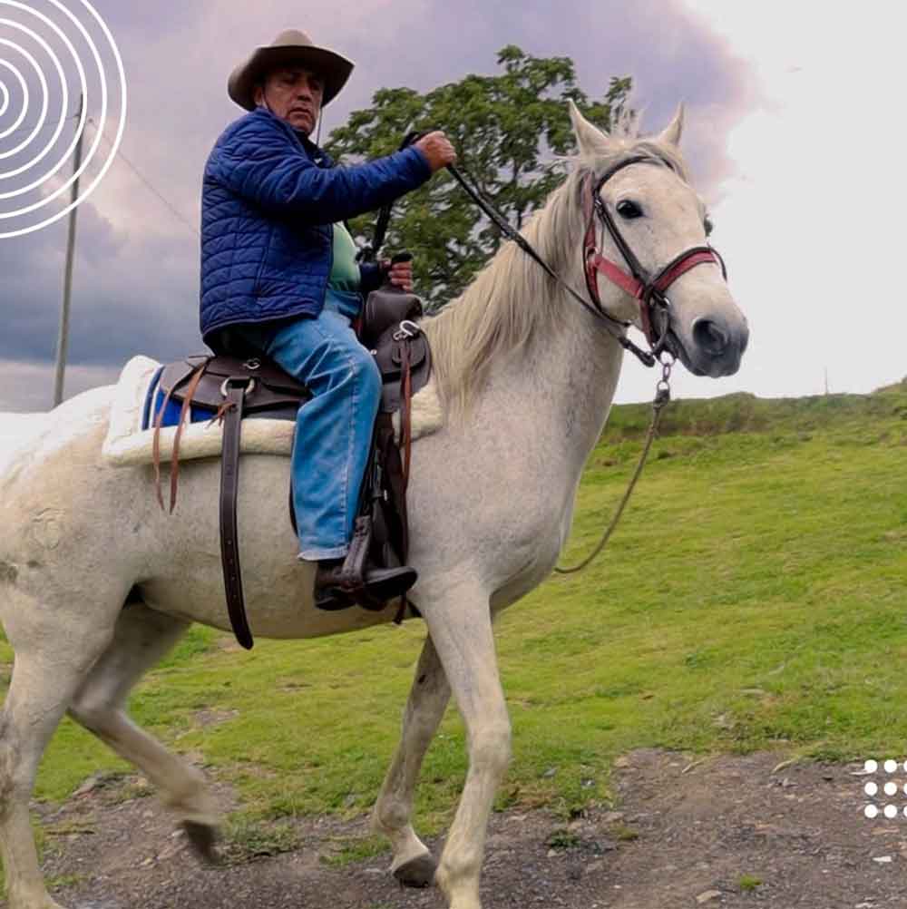 Horseback riding — Experiences on the farm