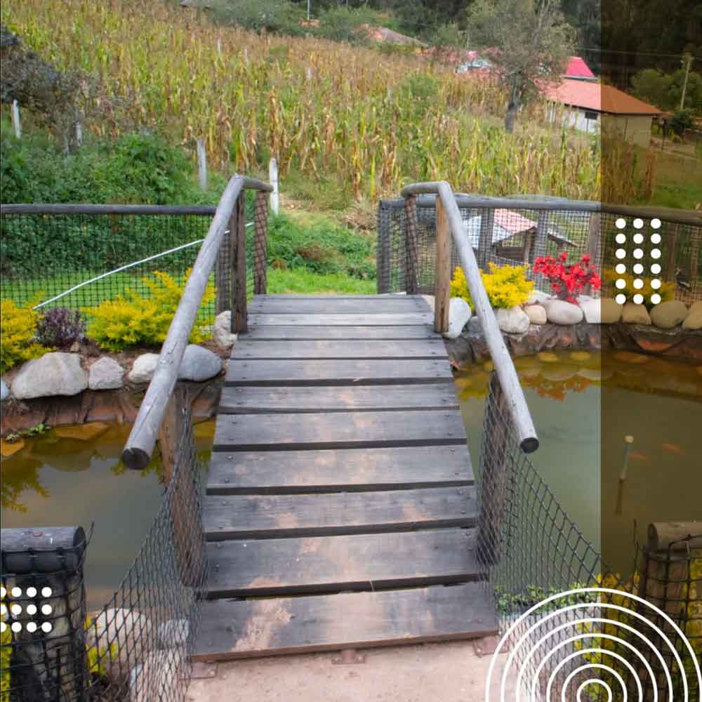Wooden bridge over the pond