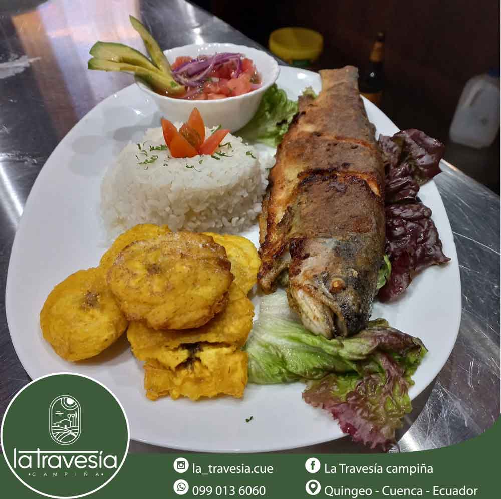 Fried trout with patacones and salad